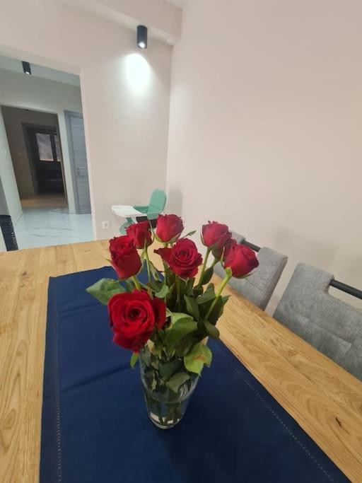 רייקה Mias Luxury Apartment מראה חיצוני תמונה